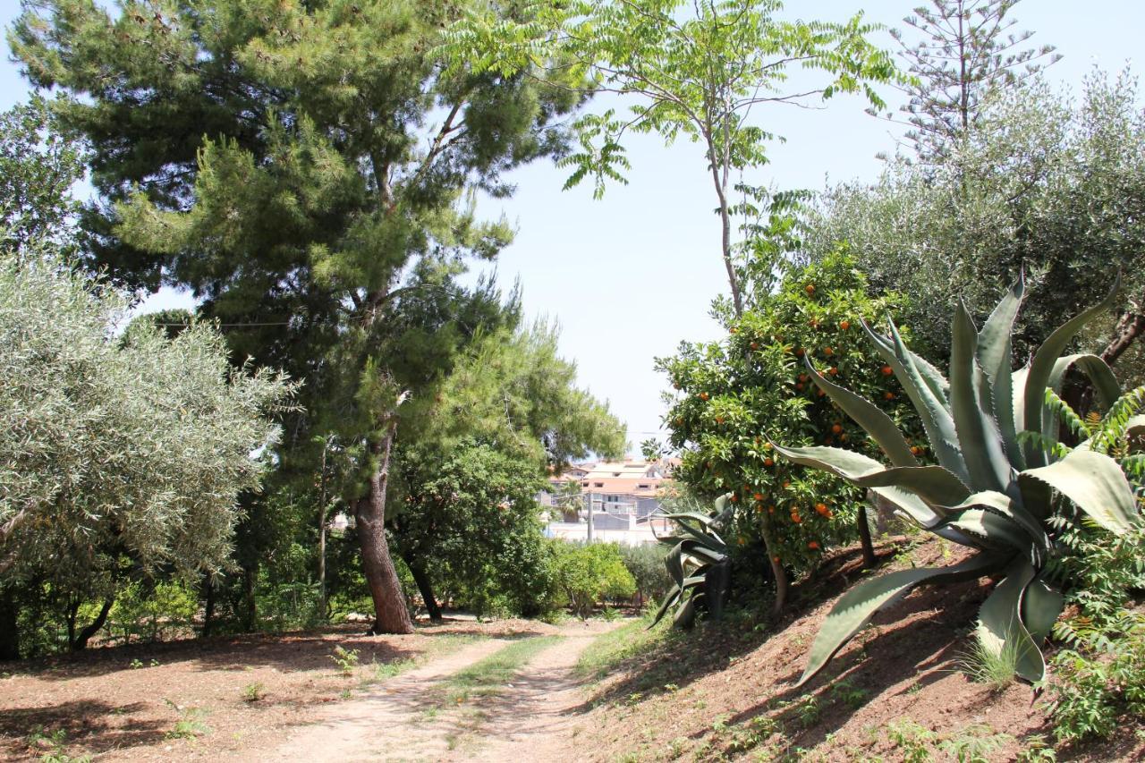 Tenuta Conte Ruggero Santa Domenica  Extérieur photo