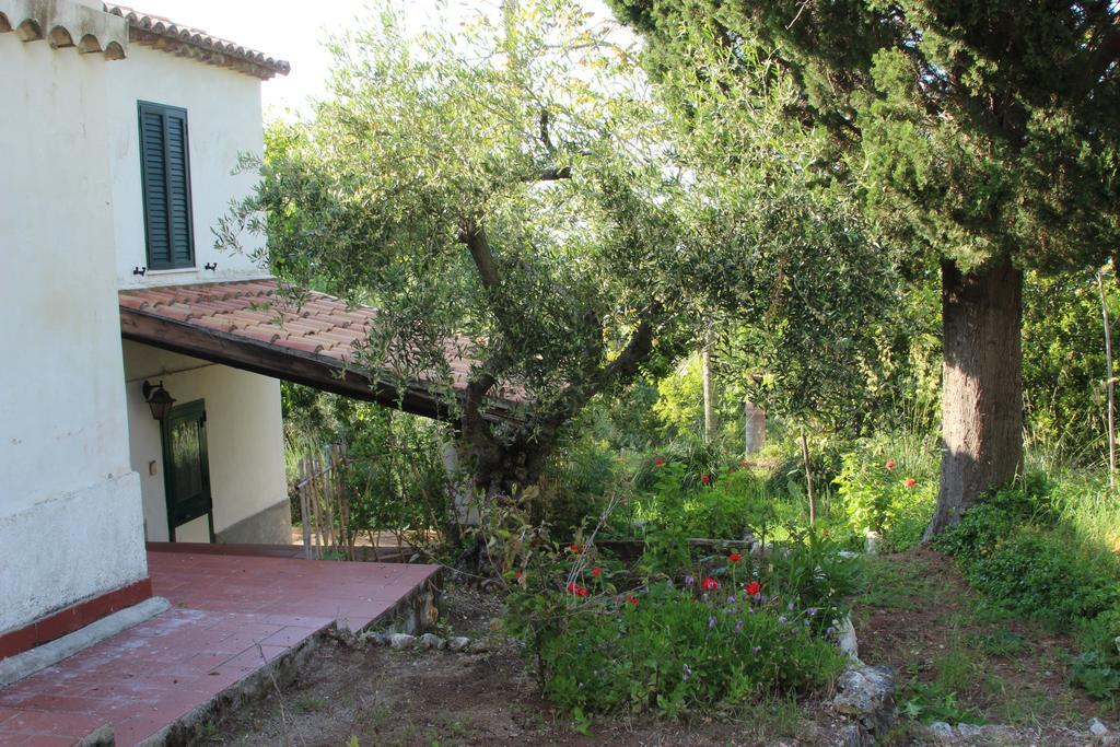 Tenuta Conte Ruggero Santa Domenica  Chambre photo